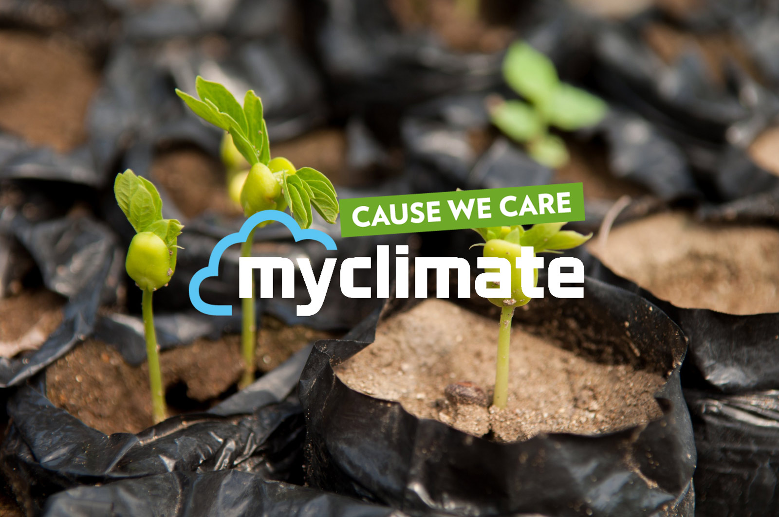 MyClimate Teaser Image